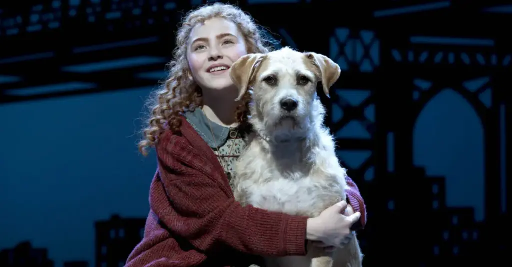 Curtain Call Canines: Celebrating the History, Training, and Legacy of Broadway’s Four-Legged Stars